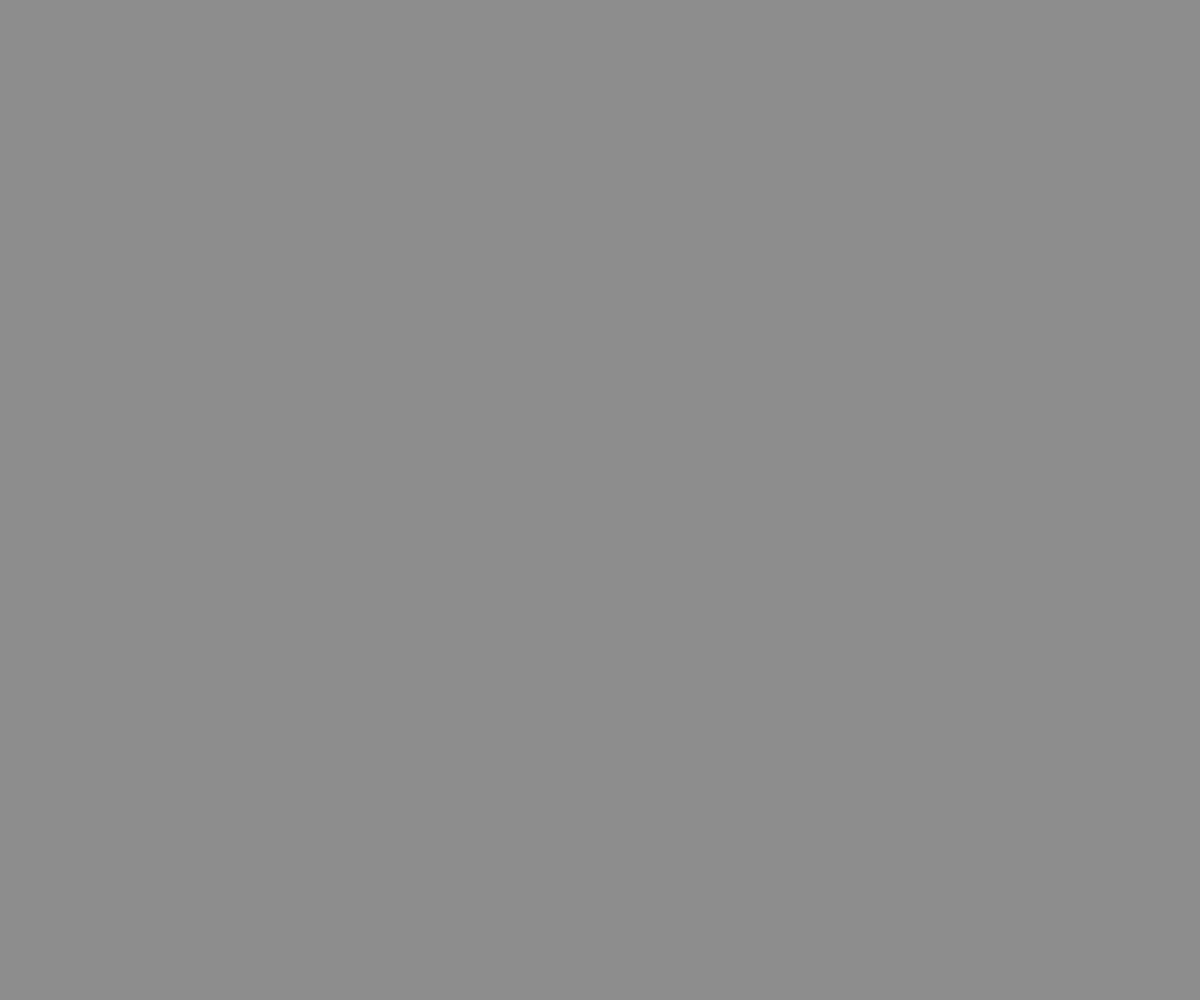 A solid grey surface representing anodisation number 24, displaying a uniform color.