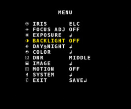 Video assist settings displayed on an external monitor, showing detailed adjustments for optimal video output. 